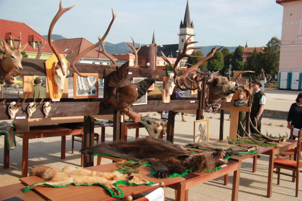 Trofeje Trofeje