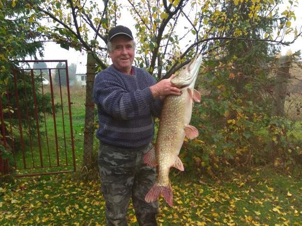 Šťuka, ktorú som ulovil dňa 21. 10. 2017 merala 96 cm a vážila 9,5 kg Šťuka, ktorú som ulovil dňa 21. 10. 2017 merala 96 cm a vážila 9,5 kg