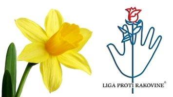Deň narcisov - logo Deň narcisov - logo